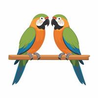 Cute lovebirds couple standing on a tree branch white background vector