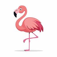 Cartoon Pink flamingo on an isolated white background. vector