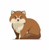 Mink in a flat style. Isolated, white background vector