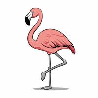 Cartoon Pink flamingo on an isolated white background. vector