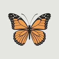 Flying butterfly . Flat illustration of flying butterfly icon isolated on white background vector