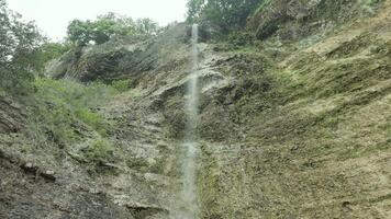 Water stream flowing on rocky cliff in tropical forest, view from bottom. Action. Flowing water of tropical waterfall in rainforest, wild waterfall among green jungle forest. video