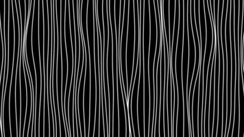 Abstract curving white strings flowing on a black background, seamless loop. Motion. Narrow bending lines, monochrome. video