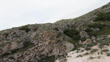 Visualizza di il drone. azione. enorme montagne con verde impianti. bellissimo paesaggio aereo Visualizza video