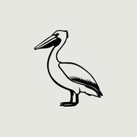 Cartoon pelican isolated on white background vector