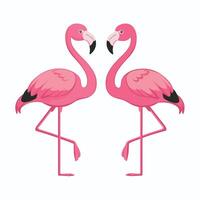 Cartoon Pink flamingo on an isolated white background. vector