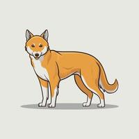 Dingo. Isolated illustration white background vector