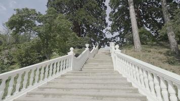 Bottom view of beautiful staircase leading to green trees. Action. Summer landscape with green bushes and white staircase. video