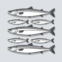 anchoa pez. ilustración dibujos animados plano icono aislado en blanco antecedentes. vector