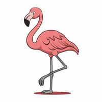 Cartoon Pink flamingo on an isolated white background. vector