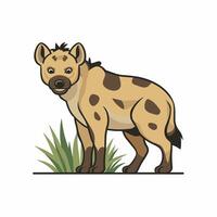 Set Hyena character with different action poses and views isolated on white background vector