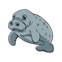 Cute cartoon manatee isolated on white background. Hand drawn illustration of Sea cow. vector