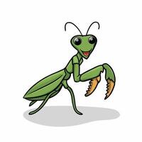 Cute praying mantis cartoon illustration isolated on white background vector