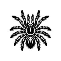 tarantula logo illustration design, Tarantula logo design vector