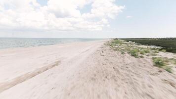 Aerial view of tropical beach with white sand. Action. Flying above beautiful shore with greenery and ocean. video