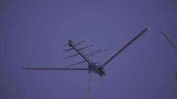 il congelato antenna per il tv . clip. il antenna per ricevente un' televisione segnale nel un' freddo la zona era coperto con un' Crosta di ghiaccio video