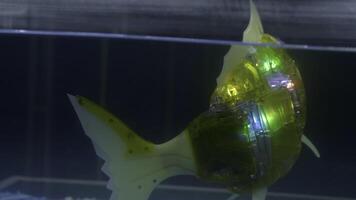 robot vis in aquarium. hdr. gloeiend en knippert vis in water. drijvend cyber vis in aquarium. creëren laatste robot dier modellen video