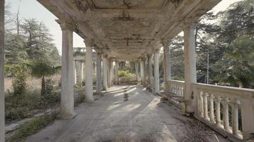 Old abandoned building with white columns. Action. Beautiful perspective with columns of abandoned building. Abandoned corridor with columns in summer forest video