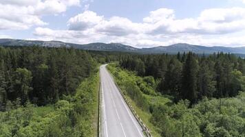 Top view of empty road in middle of forest. Scene. Panorama of highway passing through wooded area on background of mountains. Beautiful panorama of highway, green forest and mountains on horizon on video