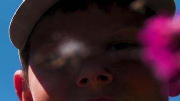 Close up of blurred pink flower and a smiling boy face on blue sky background. Creative. Summer day and a boy child watching the wild world nature. video