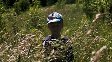 portret van een weinig bot staand met zijn ogen Gesloten in lang gras. creatief. een jongen in een zomer weide met de gras zwaaiend in de wind. video