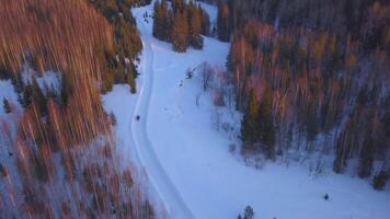 el ver desde el zumbido. acortar. un enorme Nevado invierno bosque con ventisqueros en cuales eléctrico máquinas con un persona son caminando. video