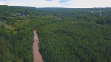 une énorme sale rivière dans le forêt. le vue de le drone. agrafe. une énorme courbure sale rivière avec pétrole des produits cette les flux suivant à une énorme vert forêt et nombreuses petit Maisons pour gens sont video