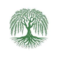 raíz árbol logo. raíz de el árbol logo símbolo ilustración diseño, roble árbol Clásico logo diseño vector