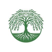 raíz árbol logo. raíz de el árbol logo símbolo ilustración diseño, roble árbol Clásico logo diseño vector