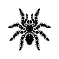 tarántula logo ilustración diseño, tarántula logo diseño vector