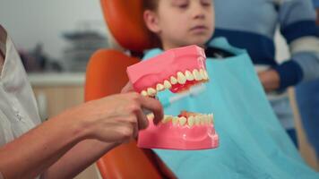 Pediatric dentist showing the correct dental hygiene using mock-up of skeleton of teeth. Stomatologist doctor explaining proper dental hygiene to patient holding sample of human jaw with toothbrush. video