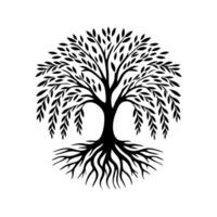 raíz árbol logo. raíz de el árbol logo símbolo ilustración diseño, roble árbol Clásico logo diseño vector