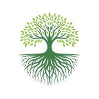 Root tree logo. Root of the tree logo symbol illustration design, oak tree vintage logo design vector