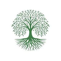 raíz árbol logo. raíz de el árbol logo símbolo ilustración diseño, roble árbol Clásico logo diseño vector