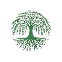 raíz árbol logo. raíz de el árbol logo símbolo ilustración diseño, roble árbol Clásico logo diseño vector