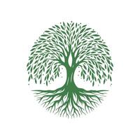 raíz árbol logo. raíz de el árbol logo símbolo ilustración diseño, roble árbol Clásico logo diseño vector