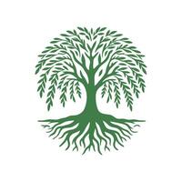 raíz árbol logo. raíz de el árbol logo símbolo ilustración diseño, roble árbol Clásico logo diseño vector