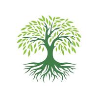 Root tree logo. Root of the tree logo symbol illustration design, oak tree vintage logo design vector