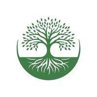 raíz árbol logo. raíz de el árbol logo símbolo ilustración diseño, roble árbol Clásico logo diseño vector