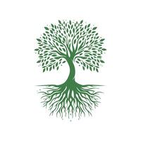 raíz árbol logo. raíz de el árbol logo símbolo ilustración diseño, roble árbol Clásico logo diseño vector