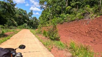 A biker is riding a motorcycle fast on a small concrete road in the forest video