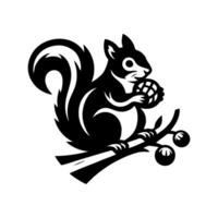 Squirrel logo. Squirrel with acorn silhouette icon on white background vector