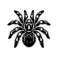 tarantula logo illustration design, Tarantula logo design vector