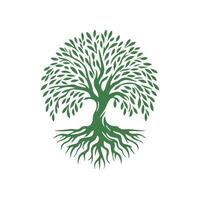 raíz árbol logo. raíz de el árbol logo símbolo ilustración diseño, roble árbol Clásico logo diseño vector