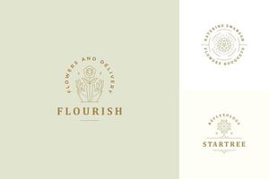 línea logos emblemas diseño plantillas conjunto - hembra gesto manos y Rosa flor ilustraciones sencillo lineal estilo vector