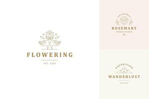 línea logos emblemas diseño plantillas conjunto - hembra gesto manos y Rosa flor ilustraciones vector