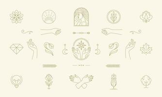 line feminine decoration design elements set - female face and gesture hands illustrations simple linear style vector