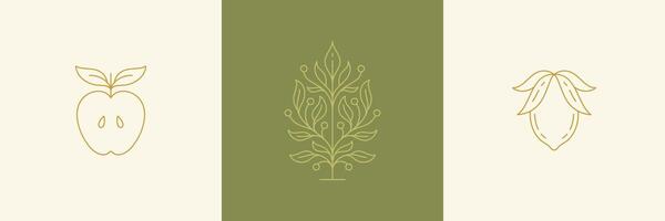 line decoration design elements set - branch and leaves with apple hands illustrations simple linear style vector