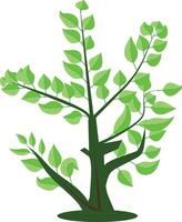 Green Tree with leaf vector