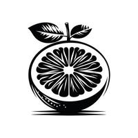 Healthy Half Detailed Black and White Grapefruit Slice with Seeds vector